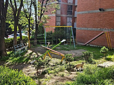 Imagen del inmueble